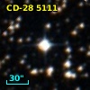 CD-28  5111