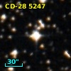 CD-28  5247
