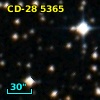 CD-28  5365