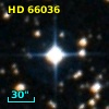 HD  66036