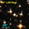 V* LM Pup