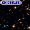 CD-28  5169