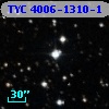 TYC 4006-1310-1