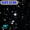 GAT 1238