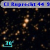 Cl Ruprecht   44    93