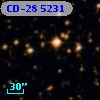 CD-28  5231