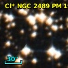 Cl* NGC 2489     PM      19