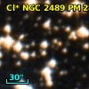 Cl* NGC 2489     PM      28