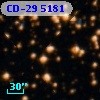CD-29  5181