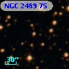 NGC  2489    75