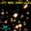 Cl* NGC 2483     LJ      31