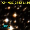 Cl* NGC 2483     LJ      36