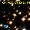 Cl* NGC 2483     LJ      44