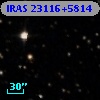 IRAS 23116+5814