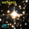 HD  66075