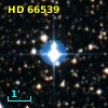 HD  66539