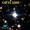 CD-31  5309