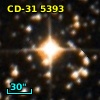 CD-31  5393