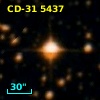 CD-31  5437