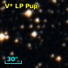 V* LP Pup