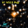 V* V515 Pup