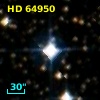HD  64950