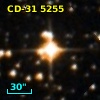 CD-31  5255