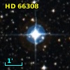HD  66308