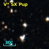 V* SX Pup