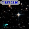 ** RST  2516
