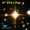 V* V411 Pup