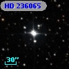 HD 236065