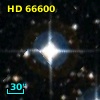 HD  66600