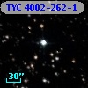 TYC 4002-262-1