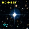 HD  64825