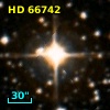 HD  66742