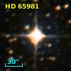 HD  65981