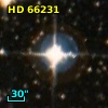 HD  66231