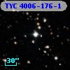 TYC 4006-176-1
