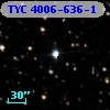 TYC 4006-636-1