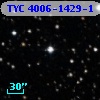 TYC 4006-1429-1