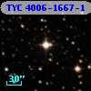 TYC 4006-1667-1