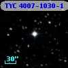 TYC 4007-1030-1