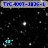 TYC 4007-1036-1