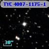 TYC 4007-1175-1