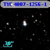 TYC 4007-1256-1