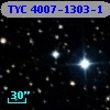 TYC 4007-1303-1