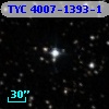 TYC 4007-1393-1