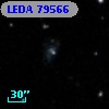 LEDA   79566