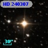HD 240307